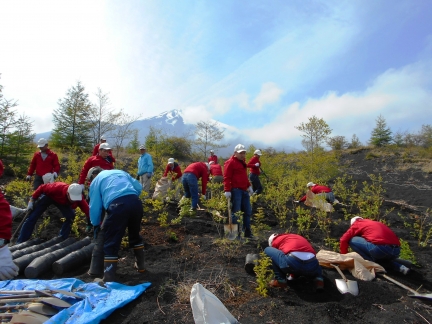 富士山にて植樹活動を行いました